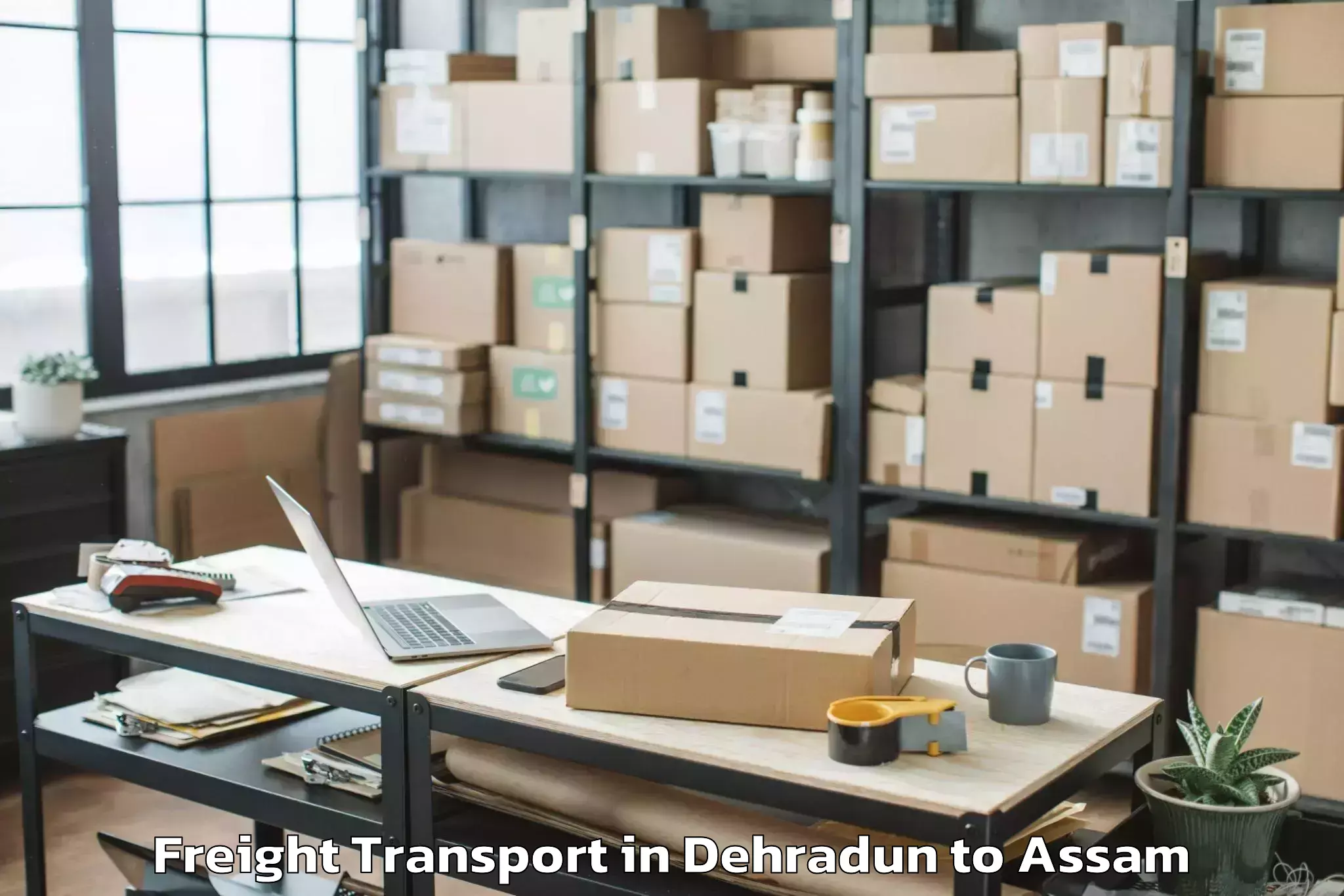 Hassle-Free Dehradun to Guwahati University Freight Transport